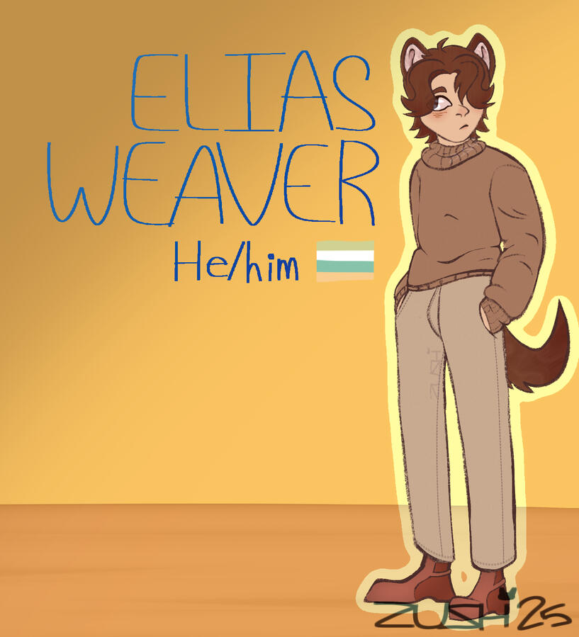 Detailed style + Full-body + Lined = $30